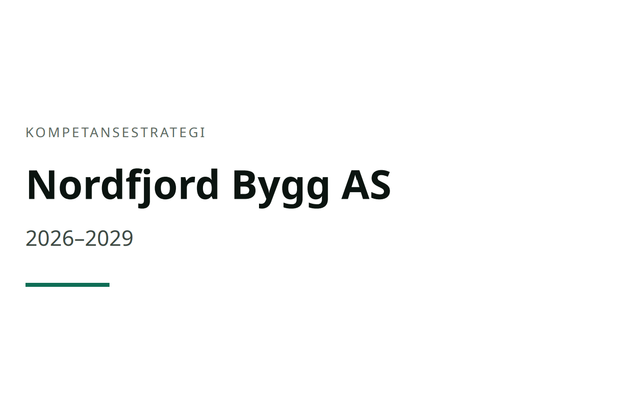 Eksempel på strategidokument fra Skalde